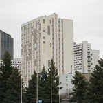 portfolio-image