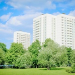 portfolio-image
